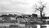 Kauri logs near Junction Wharf